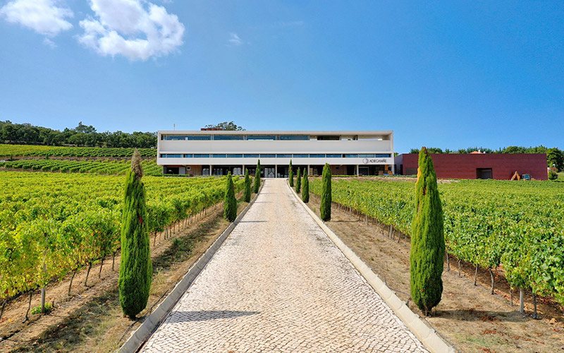 adegamae wine tasting lisbon portugal
