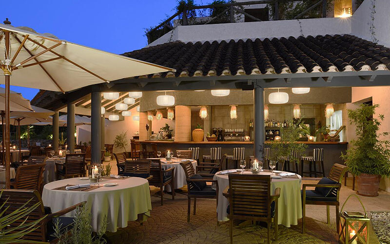 precise resort el rompido hotel bar