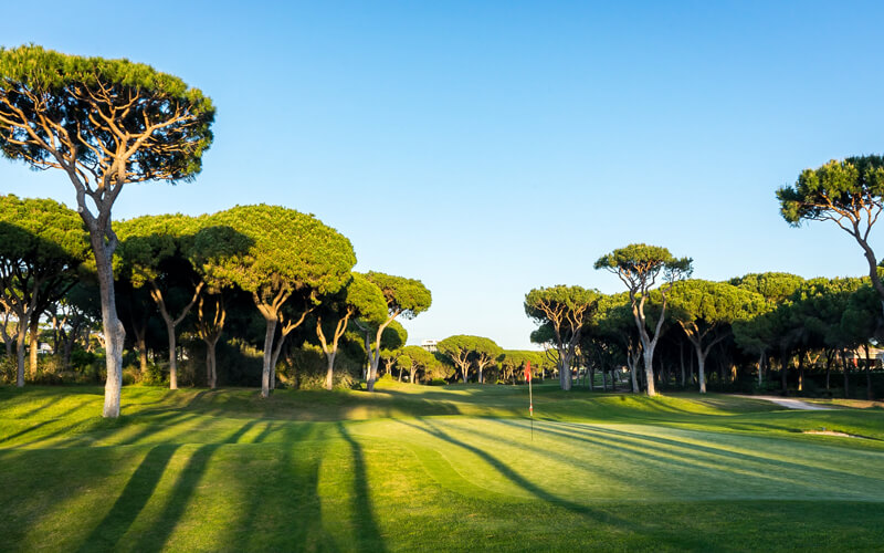 dom pedro international golf classic millennium