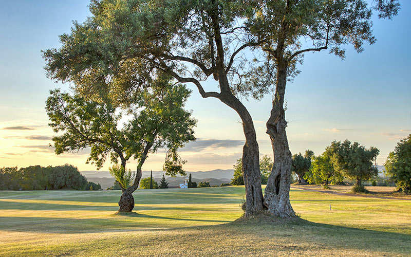 benamor golf course algarve