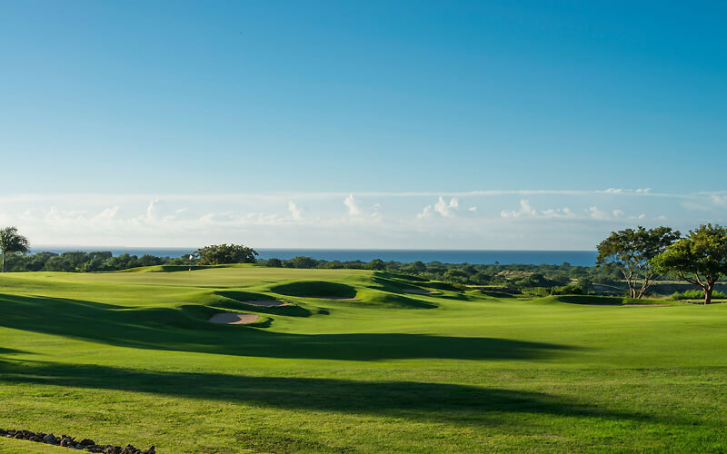 dye fore golf course