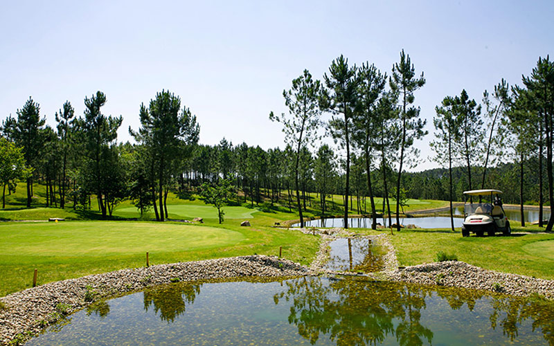 montebelo golfe golf buggy viseu