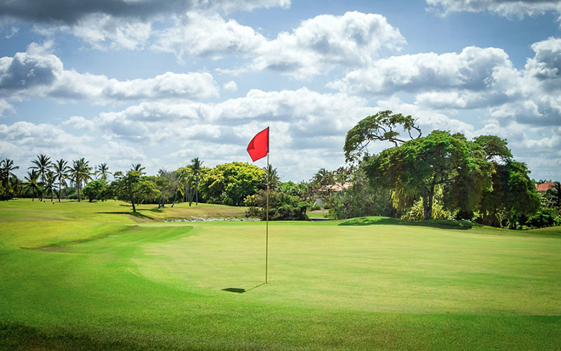 cocotal golf punta cana dominican republic