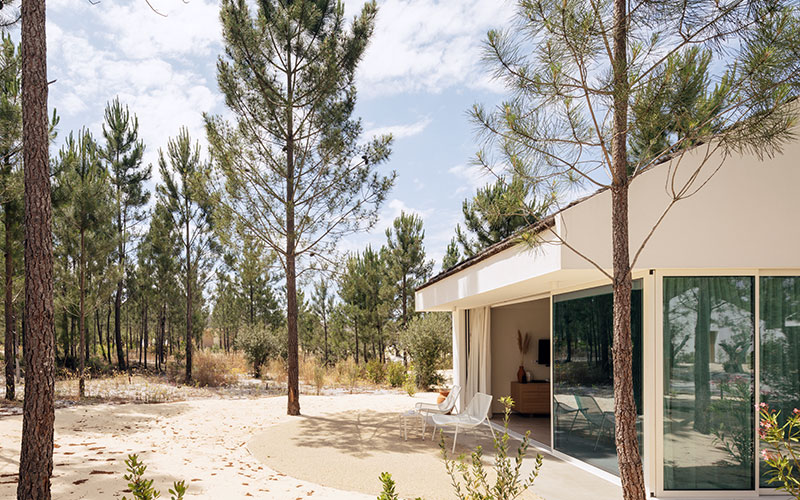spatia comporta cabana pine trees