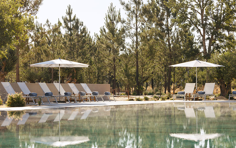 spatia comporta pool pine trees