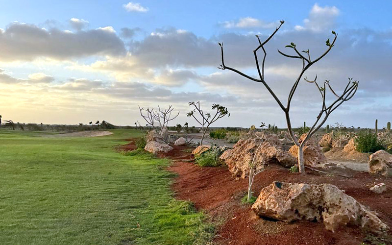 viveiro golf cabo verde sal biodiversity