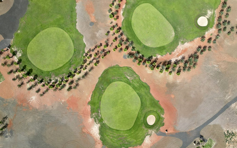 viveiro golf cabo verde sal greens