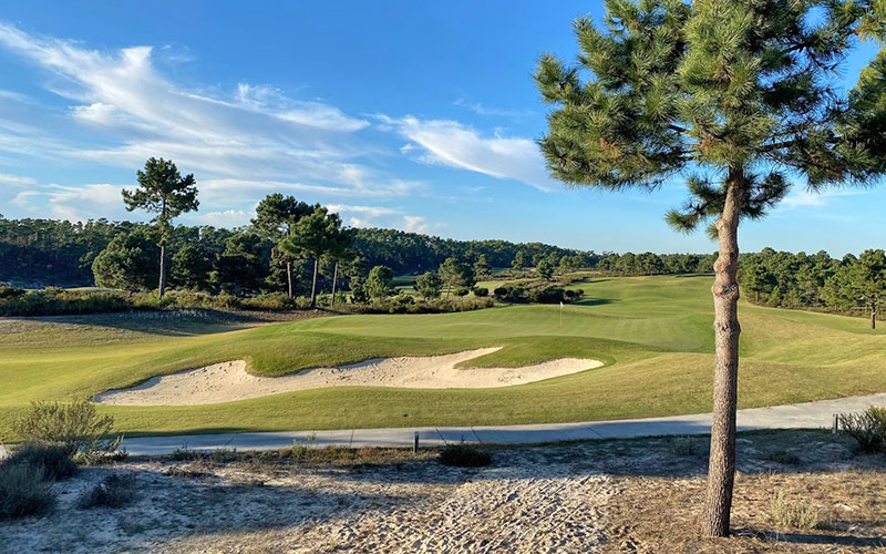 pinheirinho golf comporta fairway pine tree