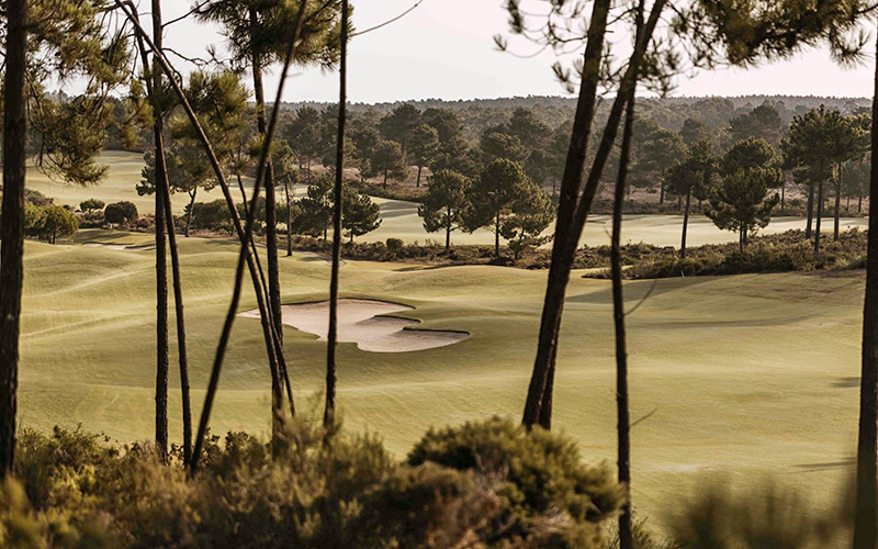 pinheirinho golf comporta trees