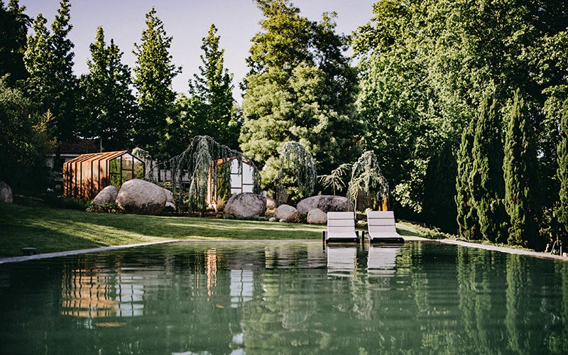 vinha boutique hotel pool garden trees