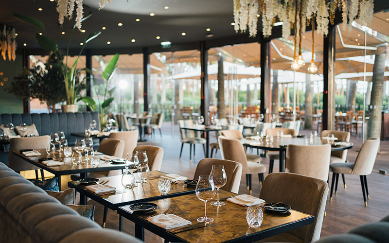 wine books algarve primadonna italian ristorante