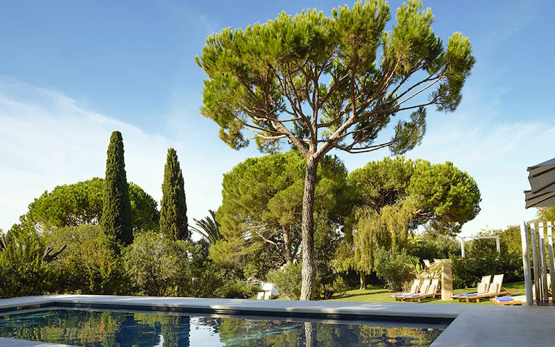 octant vila monte hotel algarve pool pines